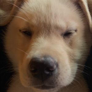 Meet your Posher, Austin